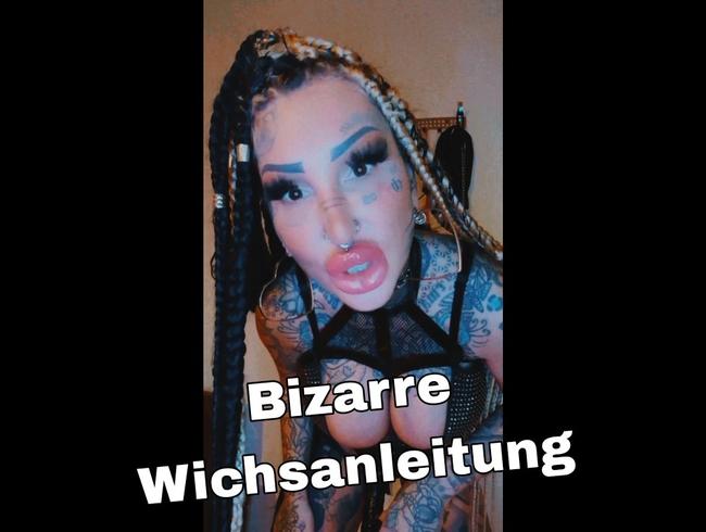 Bizarre Wichsanleitung