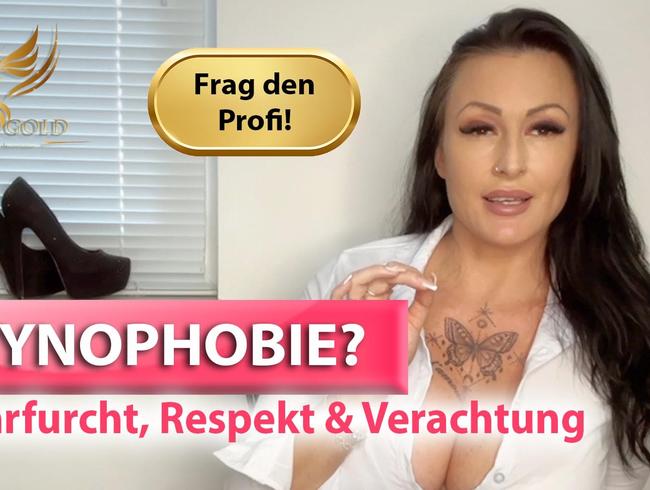 Gynophobie –  Über Ehrfurcht, Respekt, Verachtung