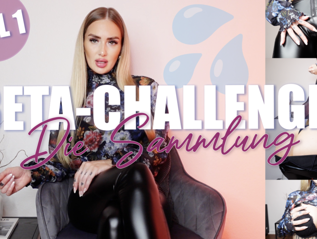 BETA CHALLENGE – Die Sammlung! Teil 1