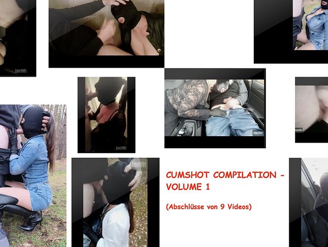 Cumshot Compilation – Volume 1 (Alle Cumshots aus 9 Videos)