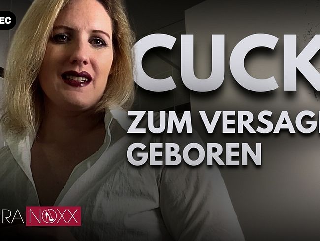 Du Cucki-Loser wirst NIEMALS eine Frau wie mich haben!